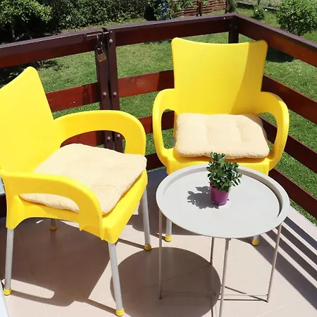 Zeleno Srce * Soko Banja