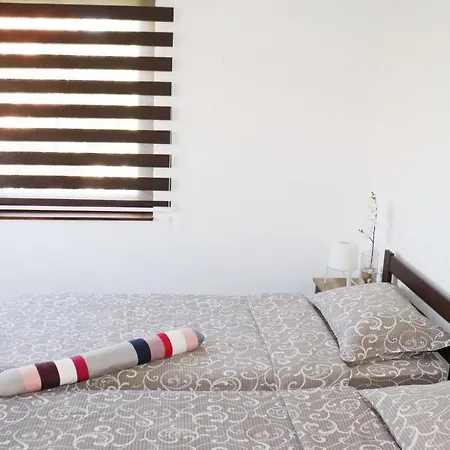 Zeleno Srce * Soko Banja