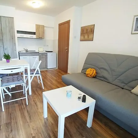 Zeleno Srce Apartment Soko Banja