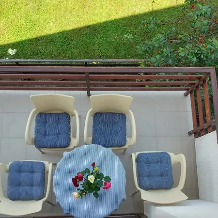 Zeleno Srce Soko Banja