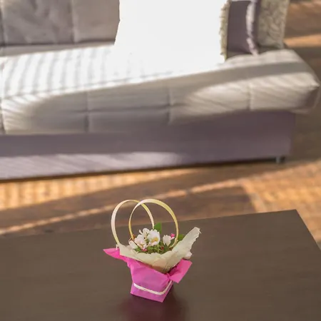 Apartment Zeleno Srce