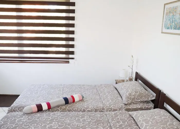 Zeleno Srce * Soko Banja