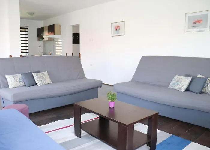 Zeleno Srce * Soko Banja