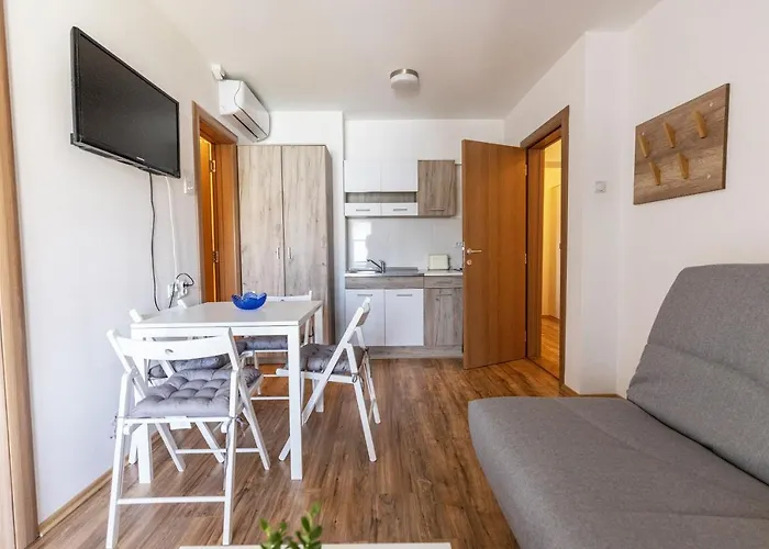 公寓 Zeleno Srce 索科矿泉村