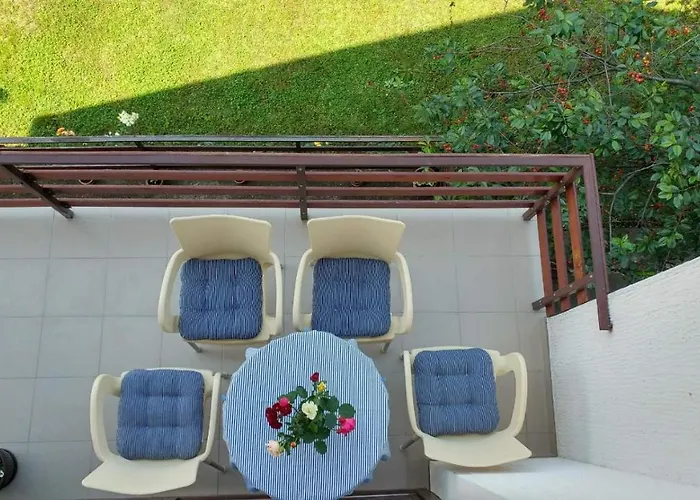 Zeleno Srce Soko Banja