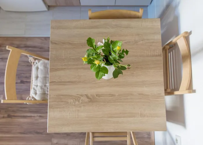 Διαμέρισμα Zeleno Srce *