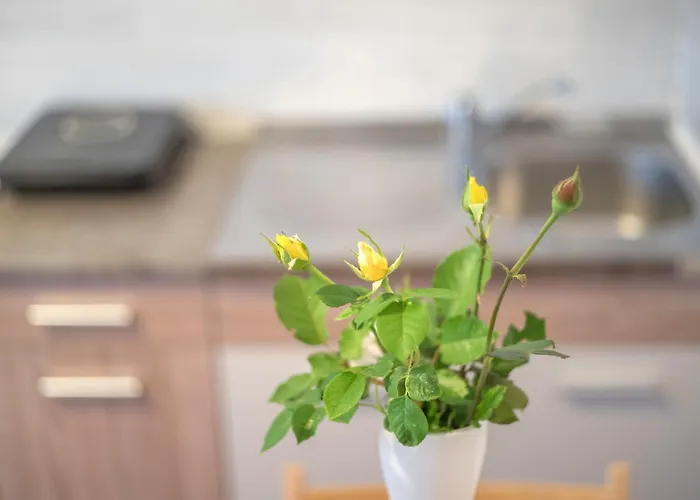 Διαμέρισμα Zeleno Srce