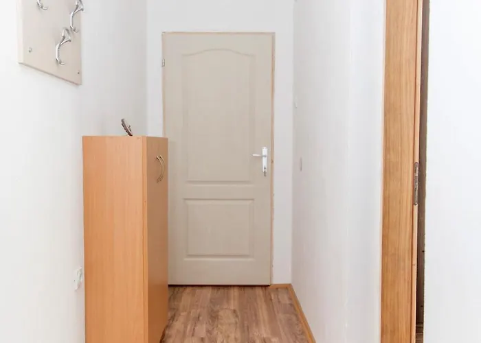 Zeleno Srce Soko Banja